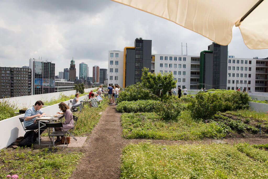 Rotterdam, city of climate-proof architecture